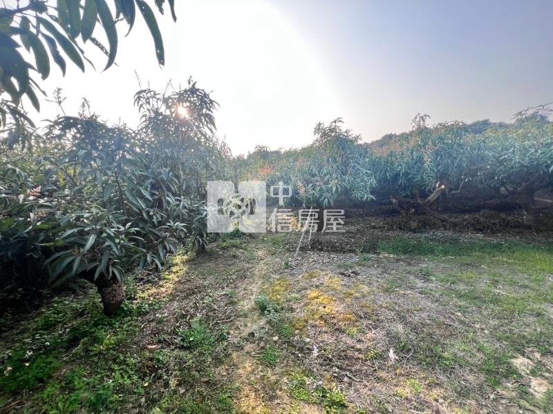 官田社子優質美農地房屋室內格局與周邊環境