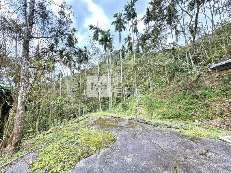 員山有電有屋景觀山坡地房屋室內格局與周邊環境