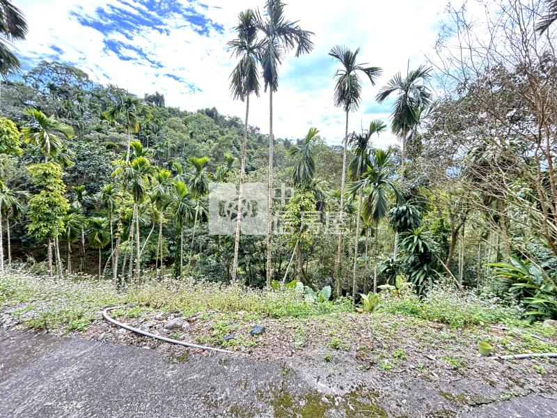 員山有電有屋景觀山坡地房屋室內格局與周邊環境