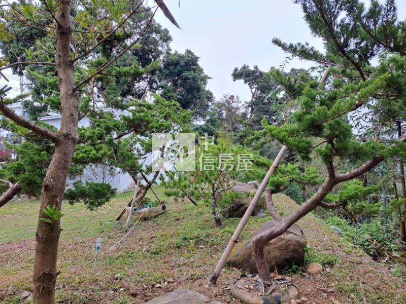 鹿谷山坡地/農牧用地房屋室內格局與周邊環境