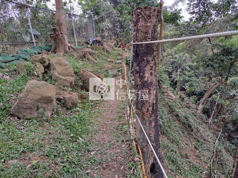 鹿谷山坡地/農牧用地房屋室內格局與周邊環境