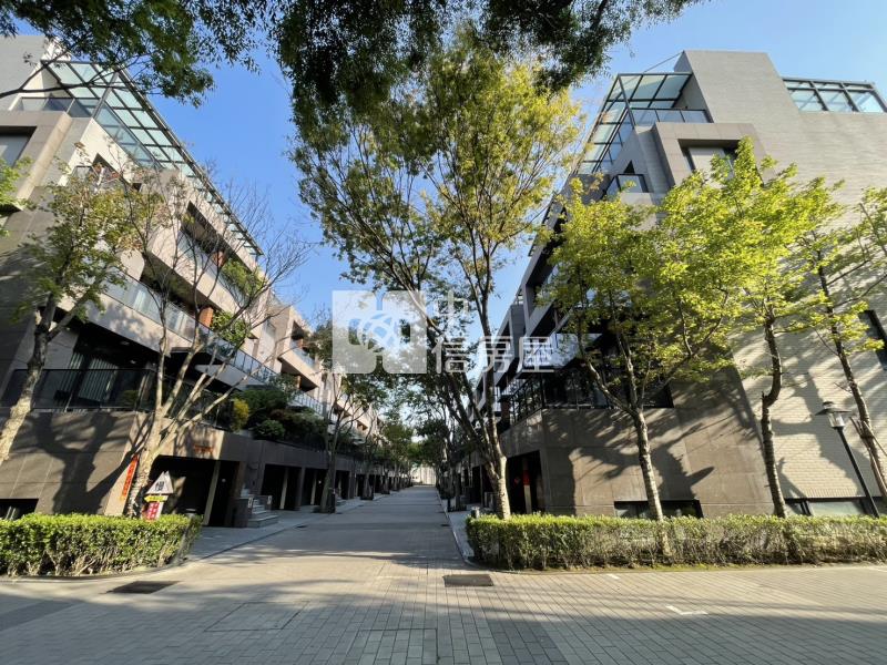 絕版獨立森林邊間電梯豪墅房屋室內格局與周邊環境