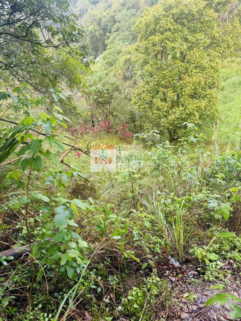 寶山開發休憩丙種建地房屋室內格局與周邊環境