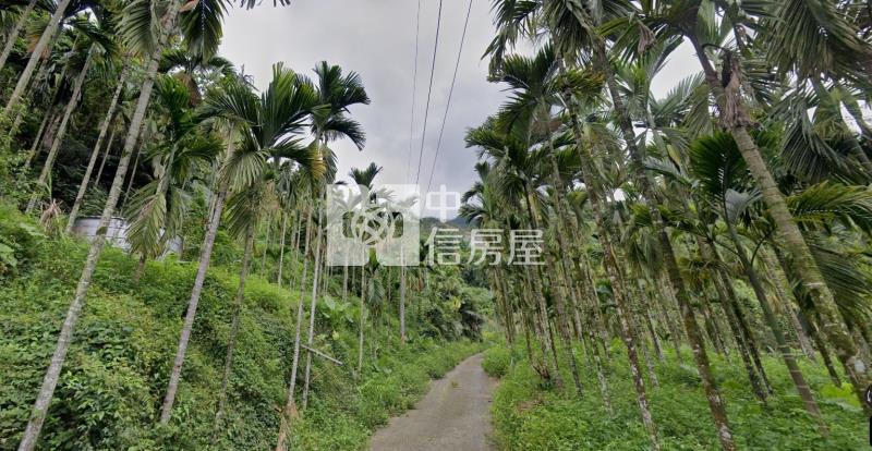 石硦土地  ★影音空拍在中信嘉義玉山店房屋室內格局與周邊環境