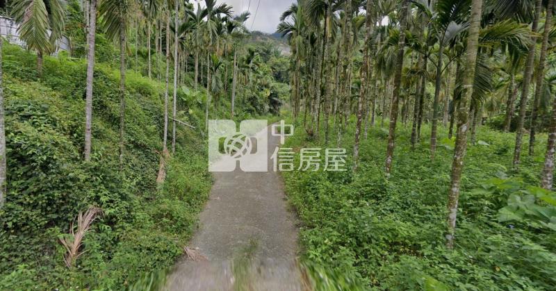 石硦土地  ★影音空拍在中信嘉義玉山店房屋室內格局與周邊環境