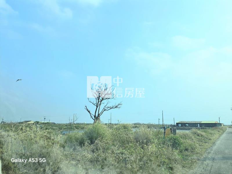 七股近篤加國小持分塭子地房屋室內格局與周邊環境