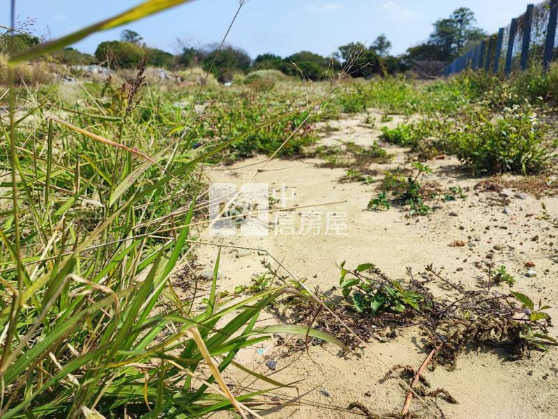 永成路650坪都內農地房屋室內格局與周邊環境