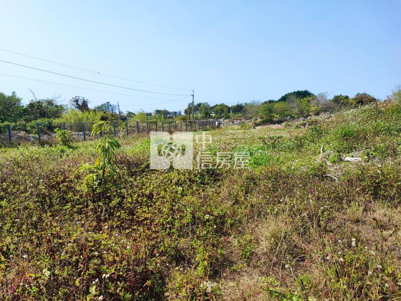 永成路650坪都內農地房屋室內格局與周邊環境
