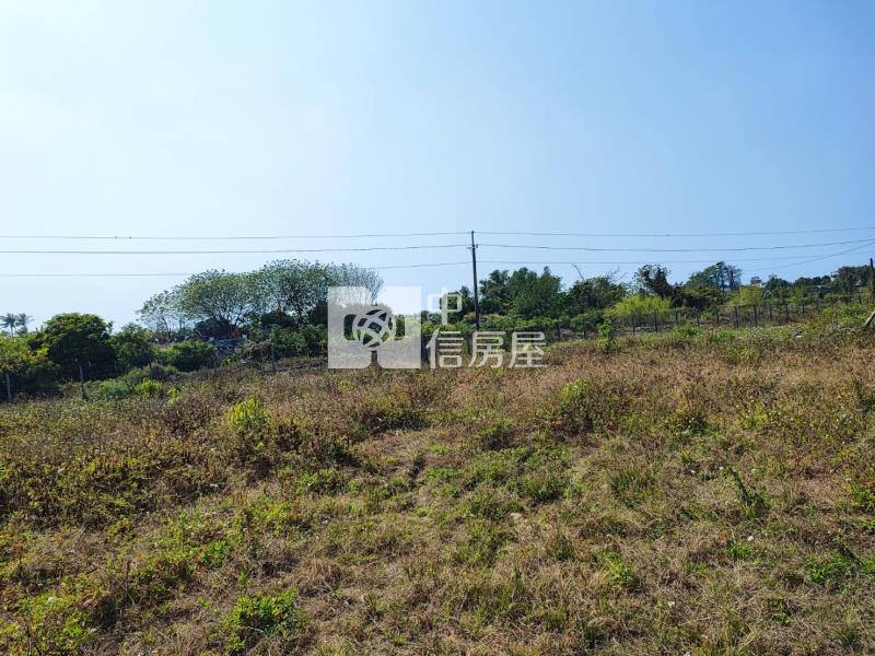 永成路650坪都內農地房屋室內格局與周邊環境
