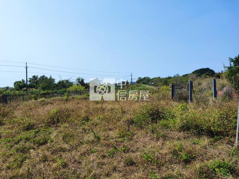 永成路650坪都內農地房屋室內格局與周邊環境