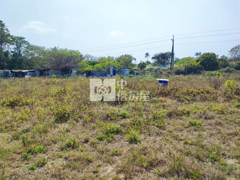 永成路650坪都內農地房屋室內格局與周邊環境