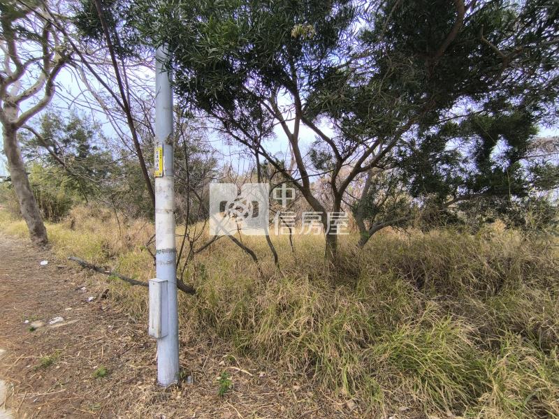 【金門縣】金湖山外持分農地房屋室內格局與周邊環境