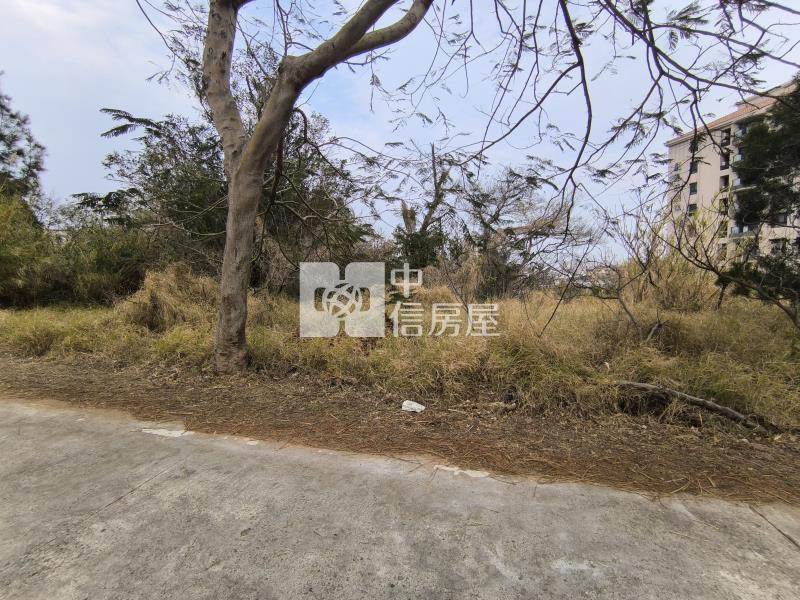 【金門縣】金湖山外持分農地房屋室內格局與周邊環境
