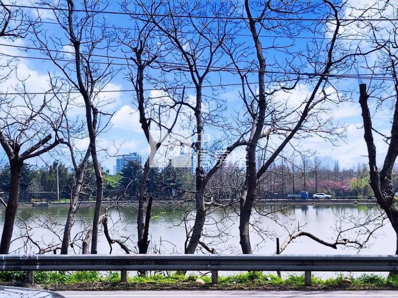 霄裡湖景翻新店住(中信卓越團隊)房屋室內格局與周邊環境
