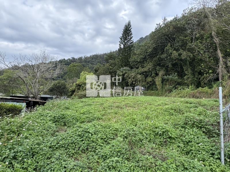 寶湖美建地房屋室內格局與周邊環境