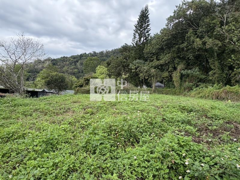 寶湖美建地房屋室內格局與周邊環境