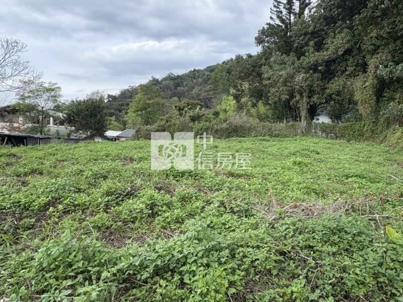 寶湖美建地房屋室內格局與周邊環境