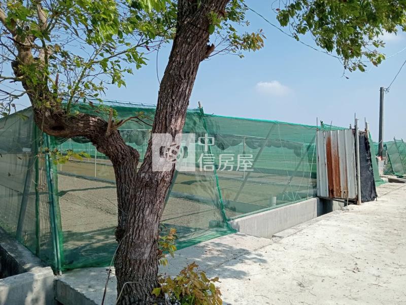 二崙臨12米有水電美農地房屋室內格局與周邊環境