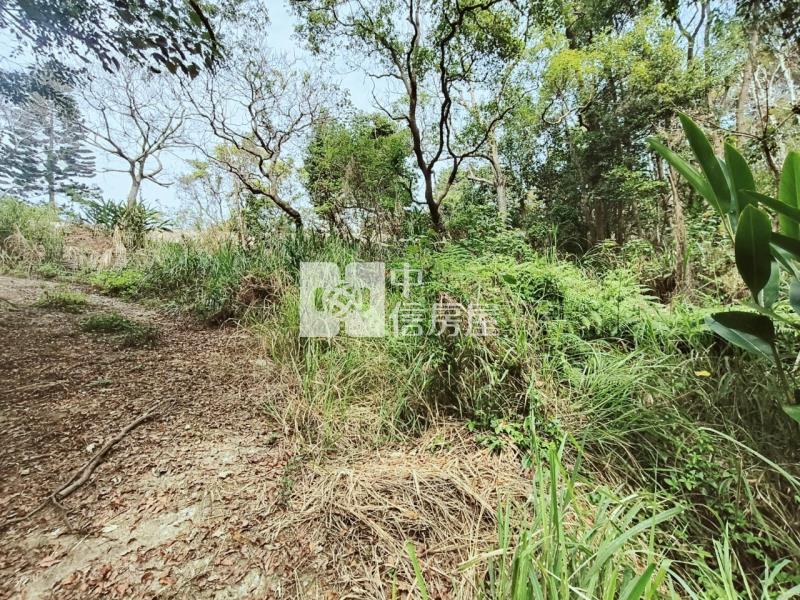 (專任)牛欄湖靜悠地房屋室內格局與周邊環境