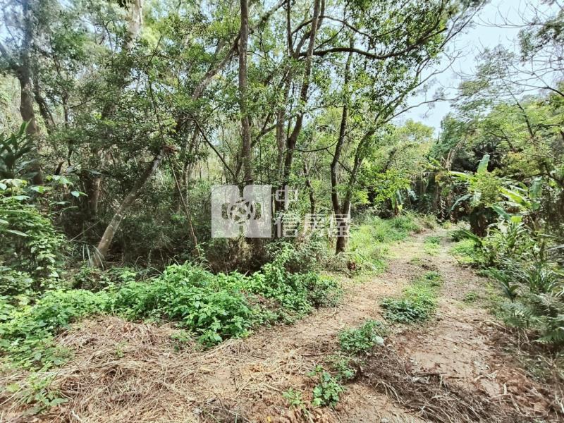 (專任)牛欄湖靜悠地房屋室內格局與周邊環境