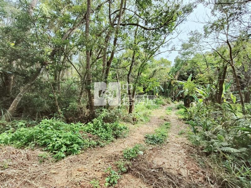 (專任)牛欄湖靜悠地房屋室內格局與周邊環境