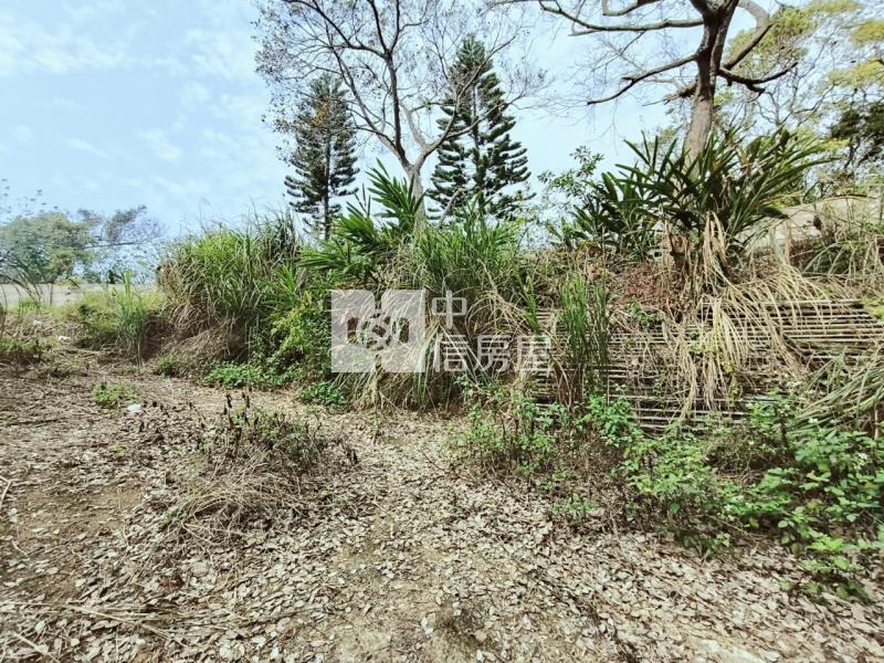 (專任)牛欄湖靜悠地房屋室內格局與周邊環境