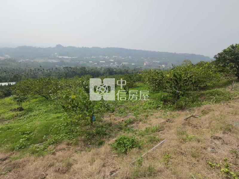 番路景觀優美農地房屋室內格局與周邊環境