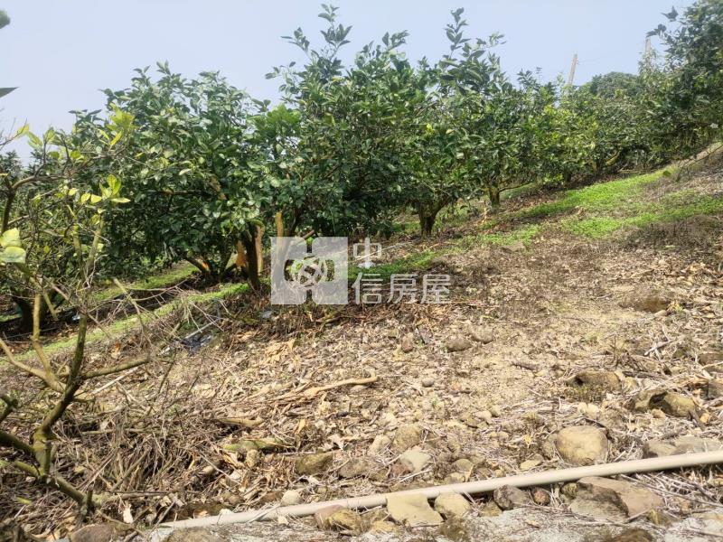 番路景觀優美農地房屋室內格局與周邊環境