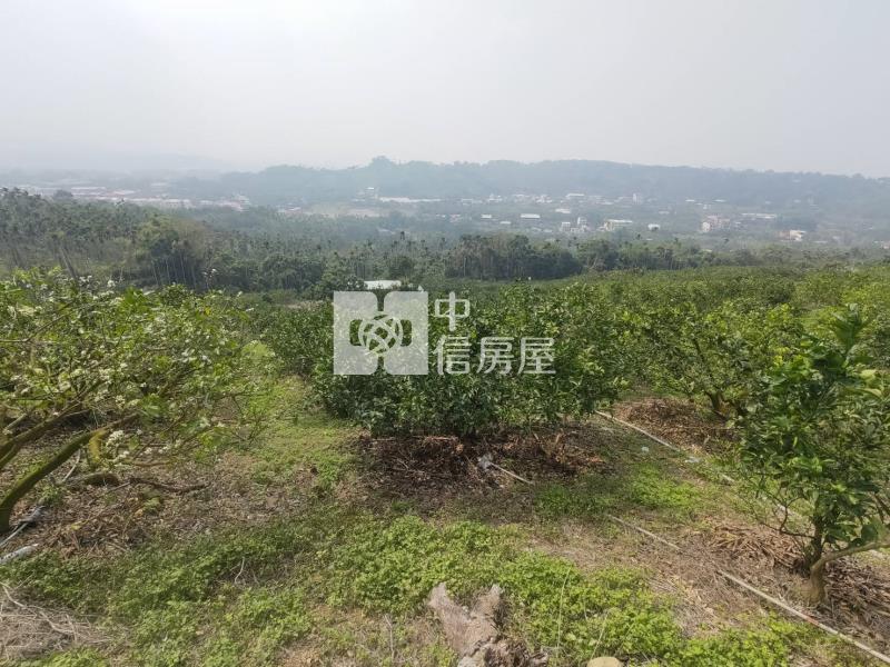 番路景觀優美農地房屋室內格局與周邊環境