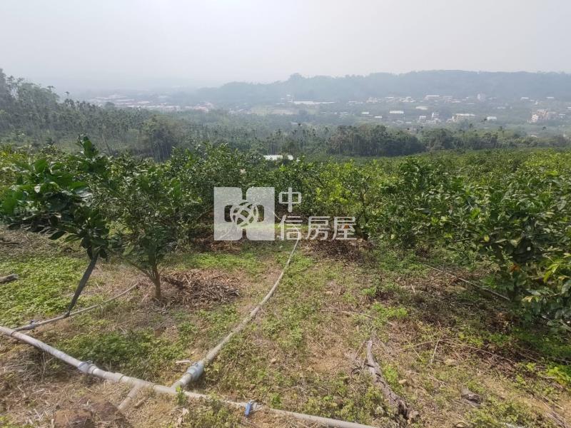 番路景觀優美農地房屋室內格局與周邊環境