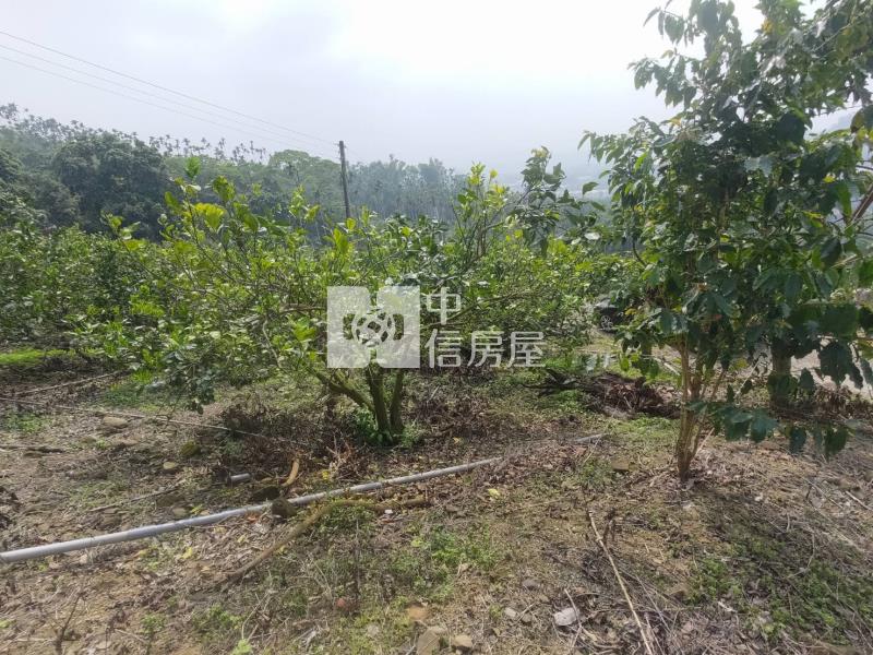 番路景觀優美農地房屋室內格局與周邊環境