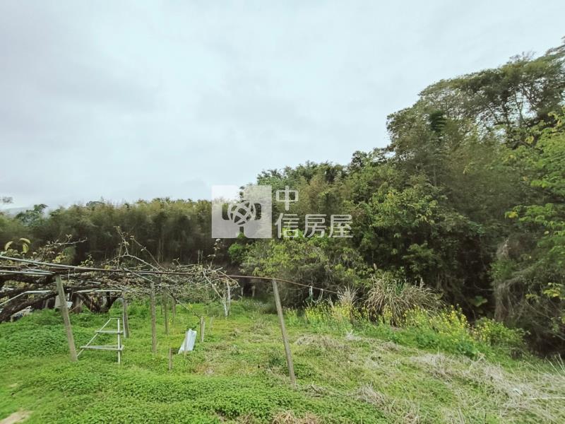 專任大湖山頂休閒農保用地房屋室內格局與周邊環境