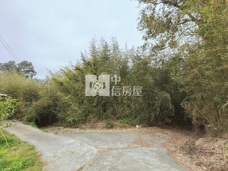 專任大湖山頂休閒農保用地房屋室內格局與周邊環境