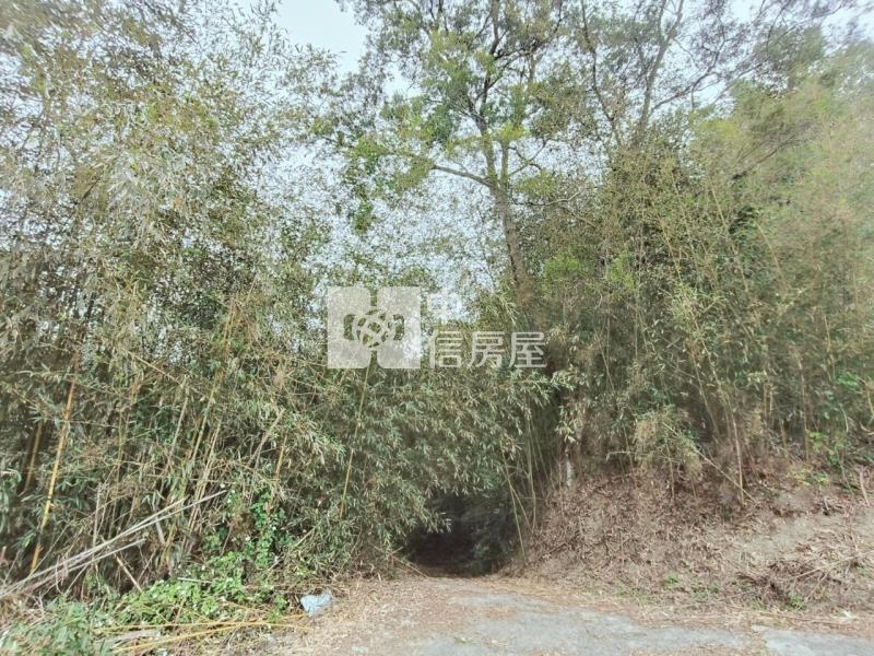 專任大湖山頂休閒農保用地房屋室內格局與周邊環境