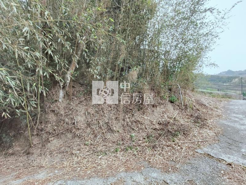 專任大湖山頂休閒農保用地房屋室內格局與周邊環境