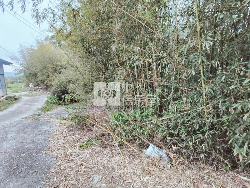 專任大湖山頂休閒農保用地房屋室內格局與周邊環境