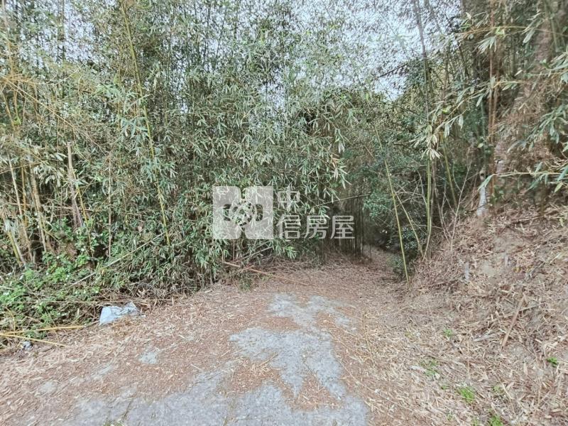 專任大湖山頂休閒農保用地房屋室內格局與周邊環境