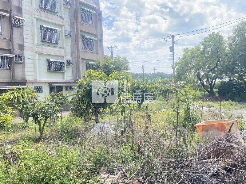 世賢路優質建地房屋室內格局與周邊環境