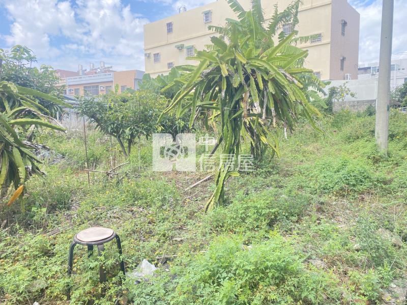 世賢路優質建地房屋室內格局與周邊環境