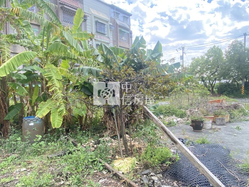 世賢路優質建地房屋室內格局與周邊環境