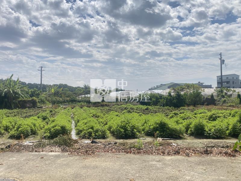 世賢路優質建地房屋室內格局與周邊環境
