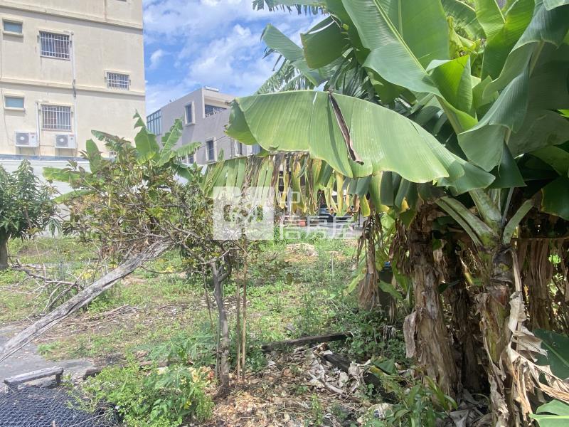 世賢路優質建地房屋室內格局與周邊環境