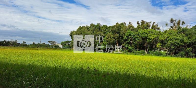 N258-桃園新屋後湖農地房屋室內格局與周邊環境