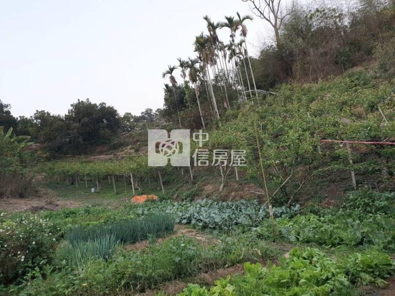后里科學園區復古休閒莊園房屋室內格局與周邊環境