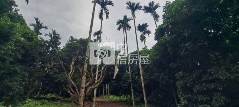 N259-嘉義竹崎美農地房屋室內格局與周邊環境