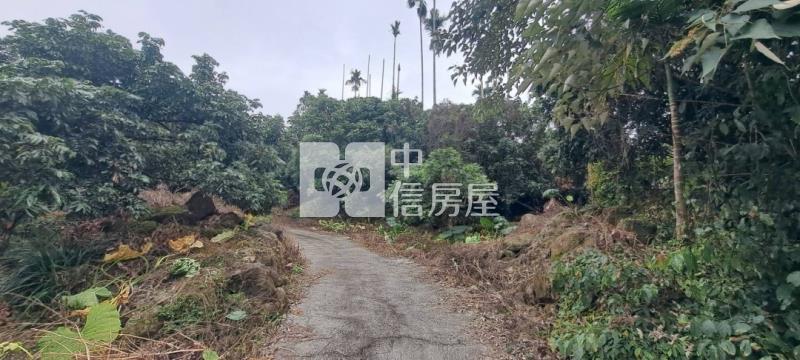 N259-嘉義竹崎美農地房屋室內格局與周邊環境