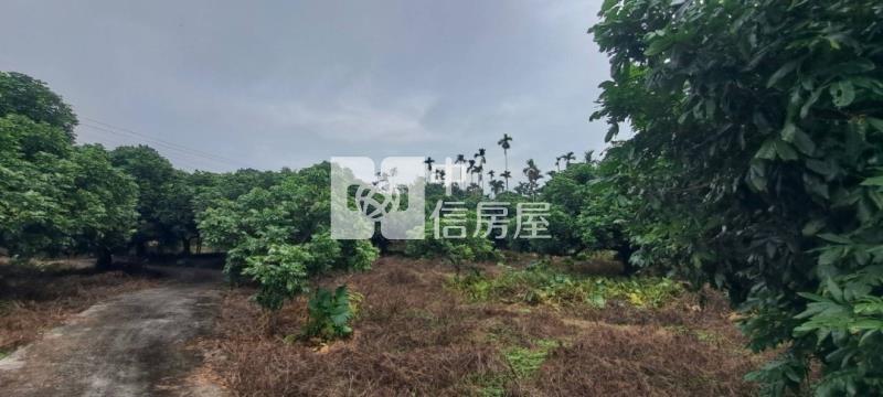 N259-嘉義竹崎美農地房屋室內格局與周邊環境