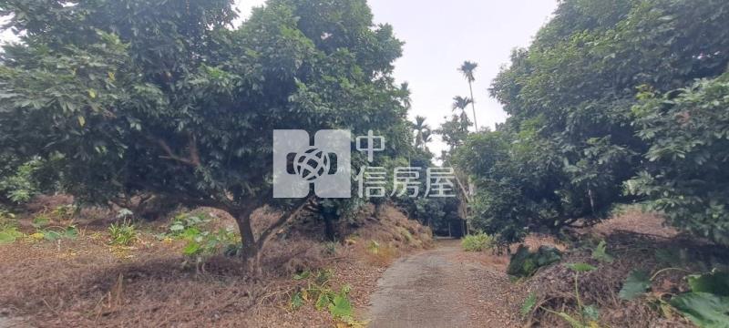 N259-嘉義竹崎美農地房屋室內格局與周邊環境