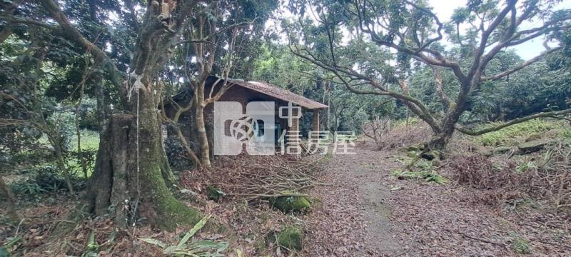 N259-嘉義竹崎美農地房屋室內格局與周邊環境
