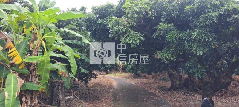 N259-嘉義竹崎美農地房屋室內格局與周邊環境